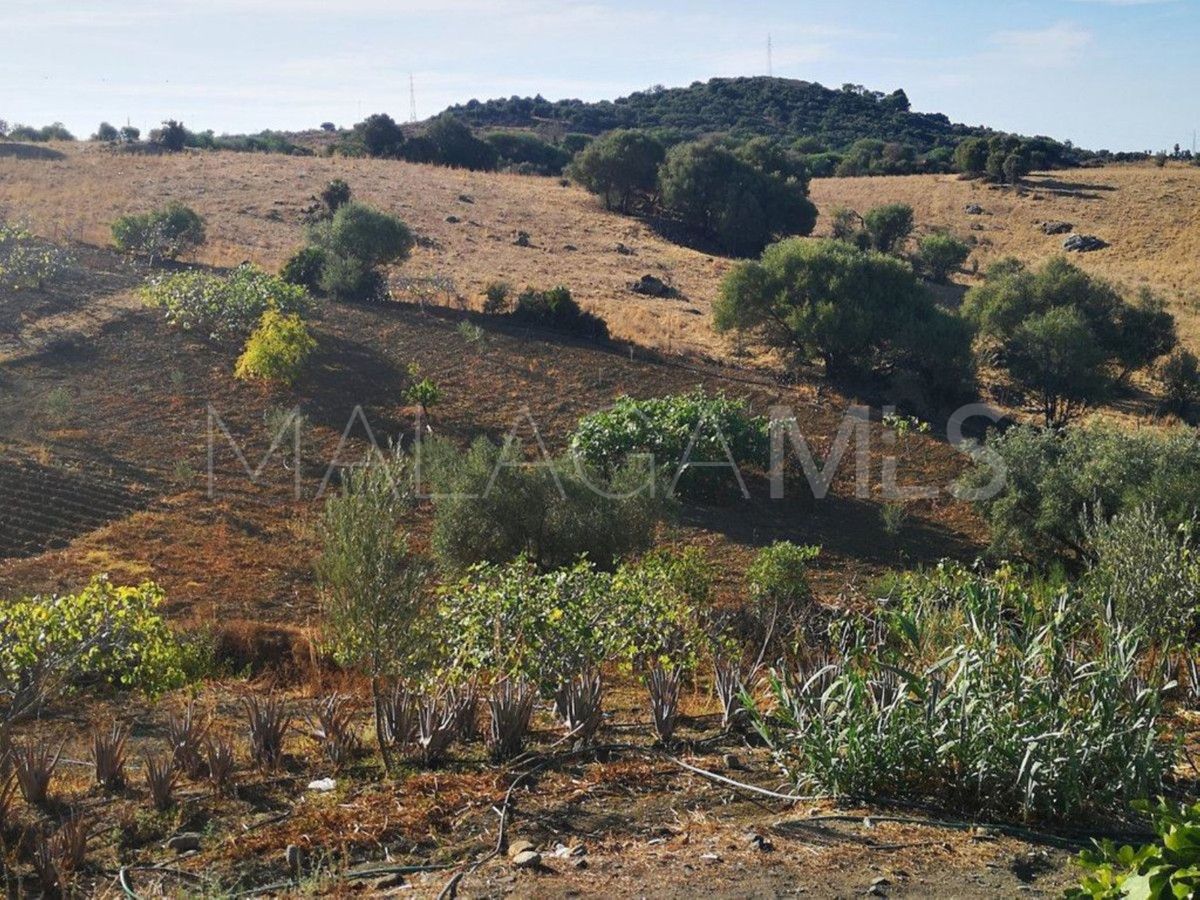 Finca for sale in Estepona