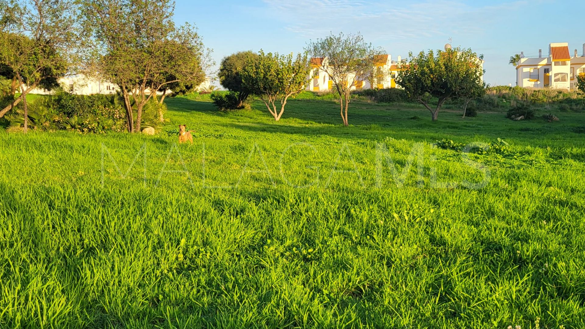 Appartement for sale in Guadalupe Hills