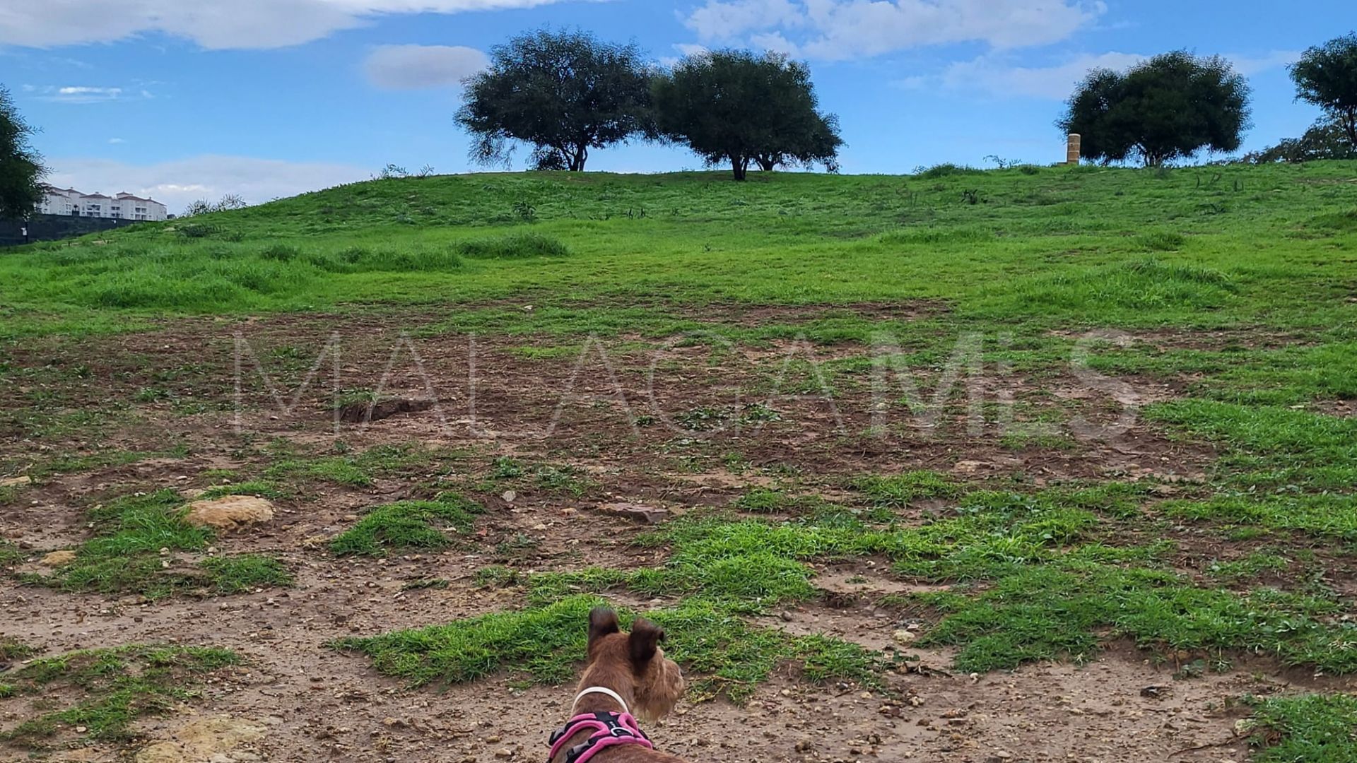 Appartement for sale in Guadalupe Hills