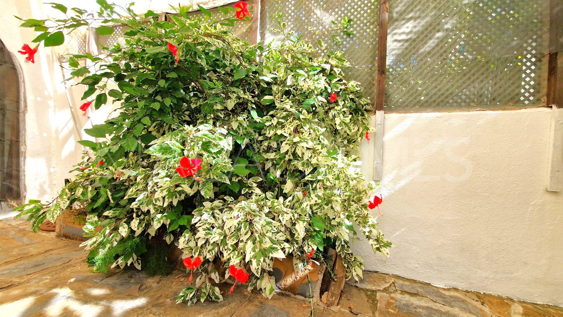 Maison de ville for sale in Marina de Casares