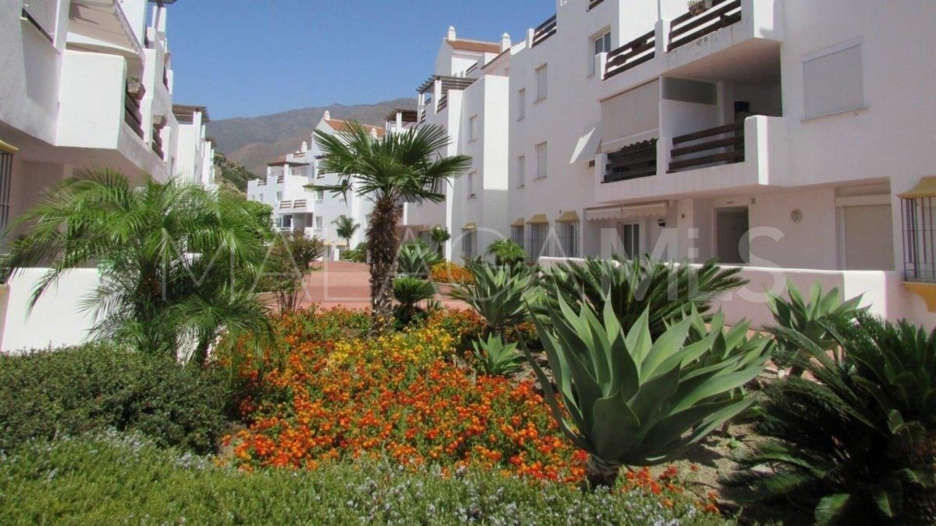 For sale penthouse in Valle Romano