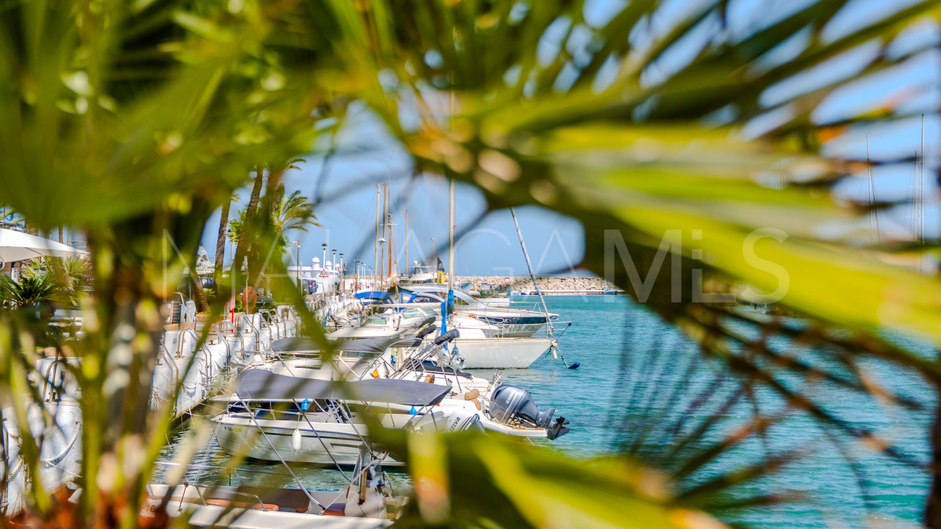 Wohnung for sale in Puerto La Duquesa