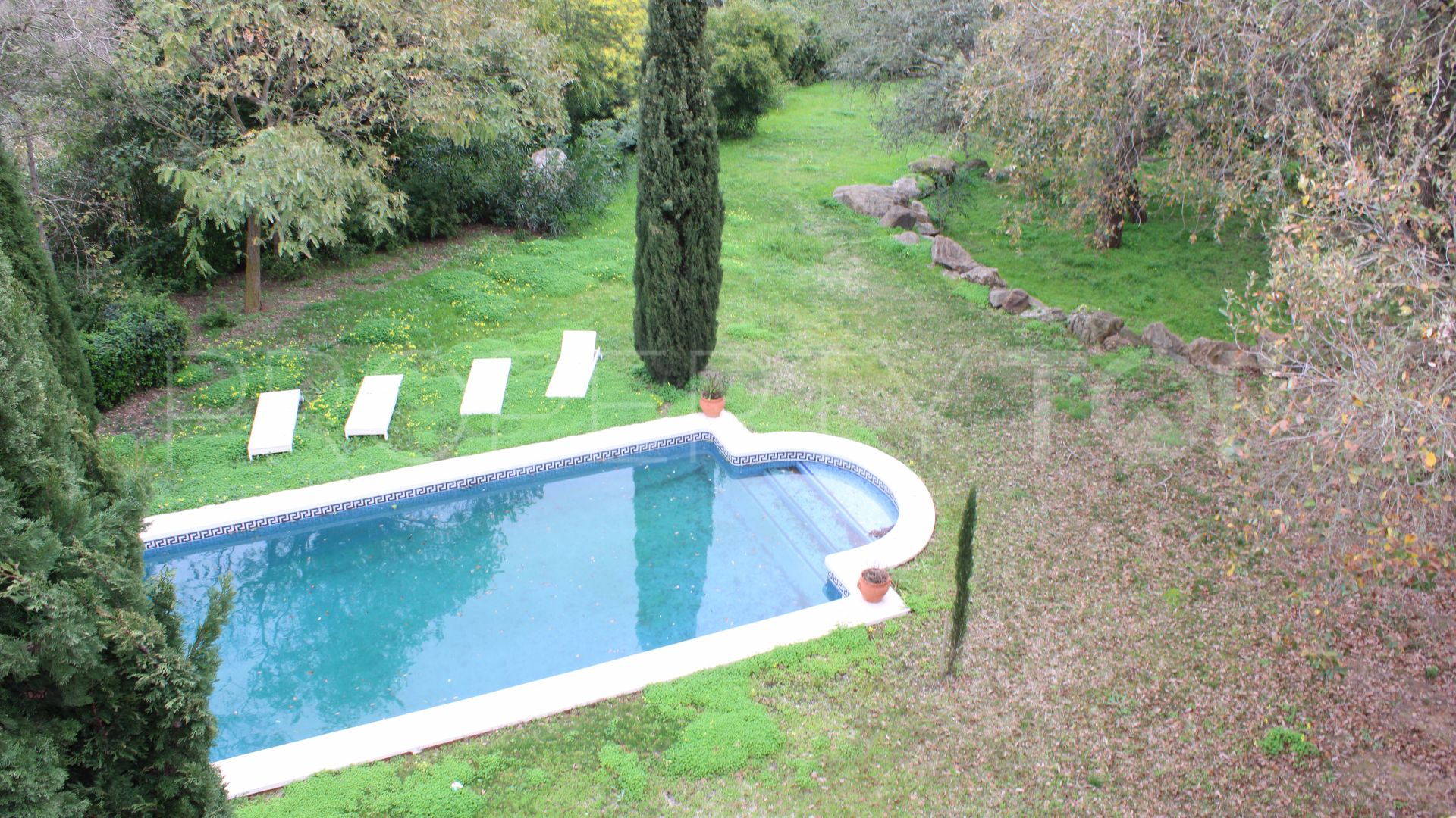 Buy villa in Sotogrande Alto