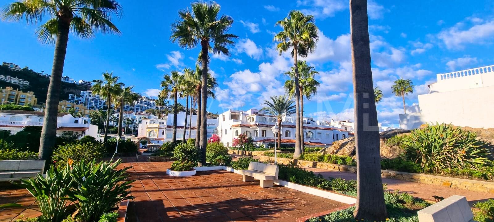 Buy adosado in Chullera