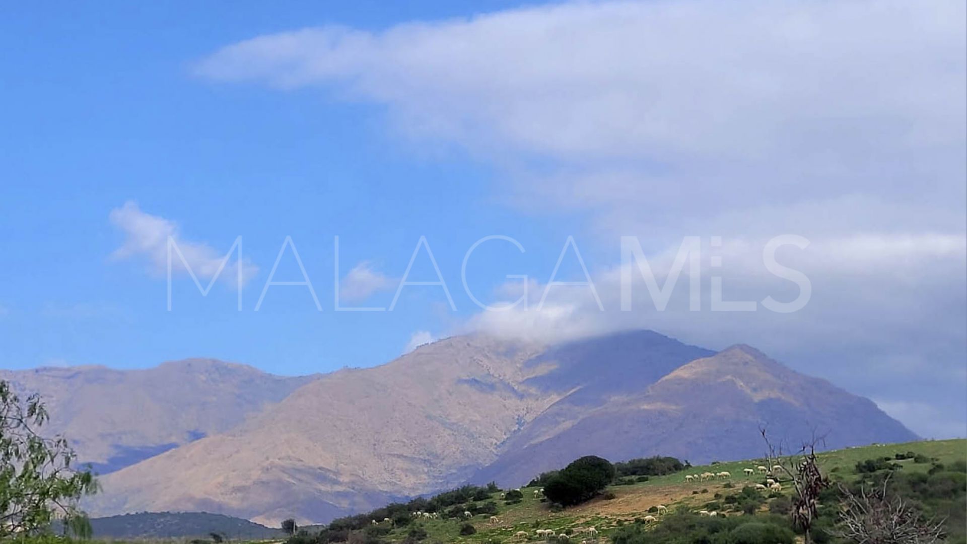 Se vende apartamento de 2 bedrooms in Serenity Views