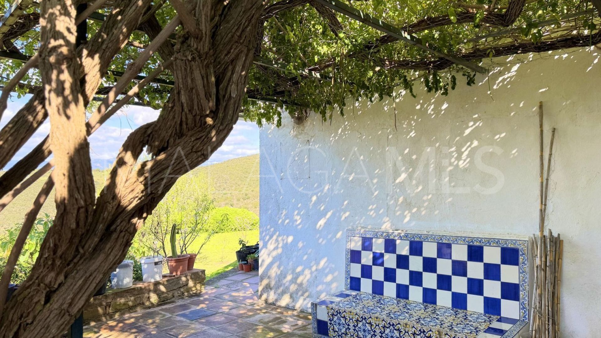 Finca for sale in Casares Pueblo