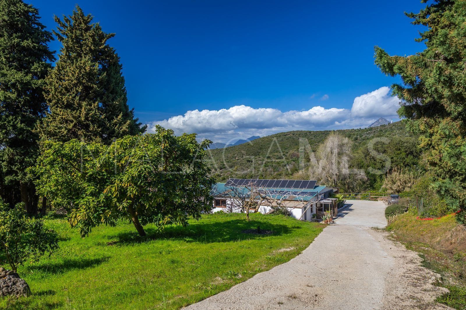 Finca for sale in Casares Pueblo