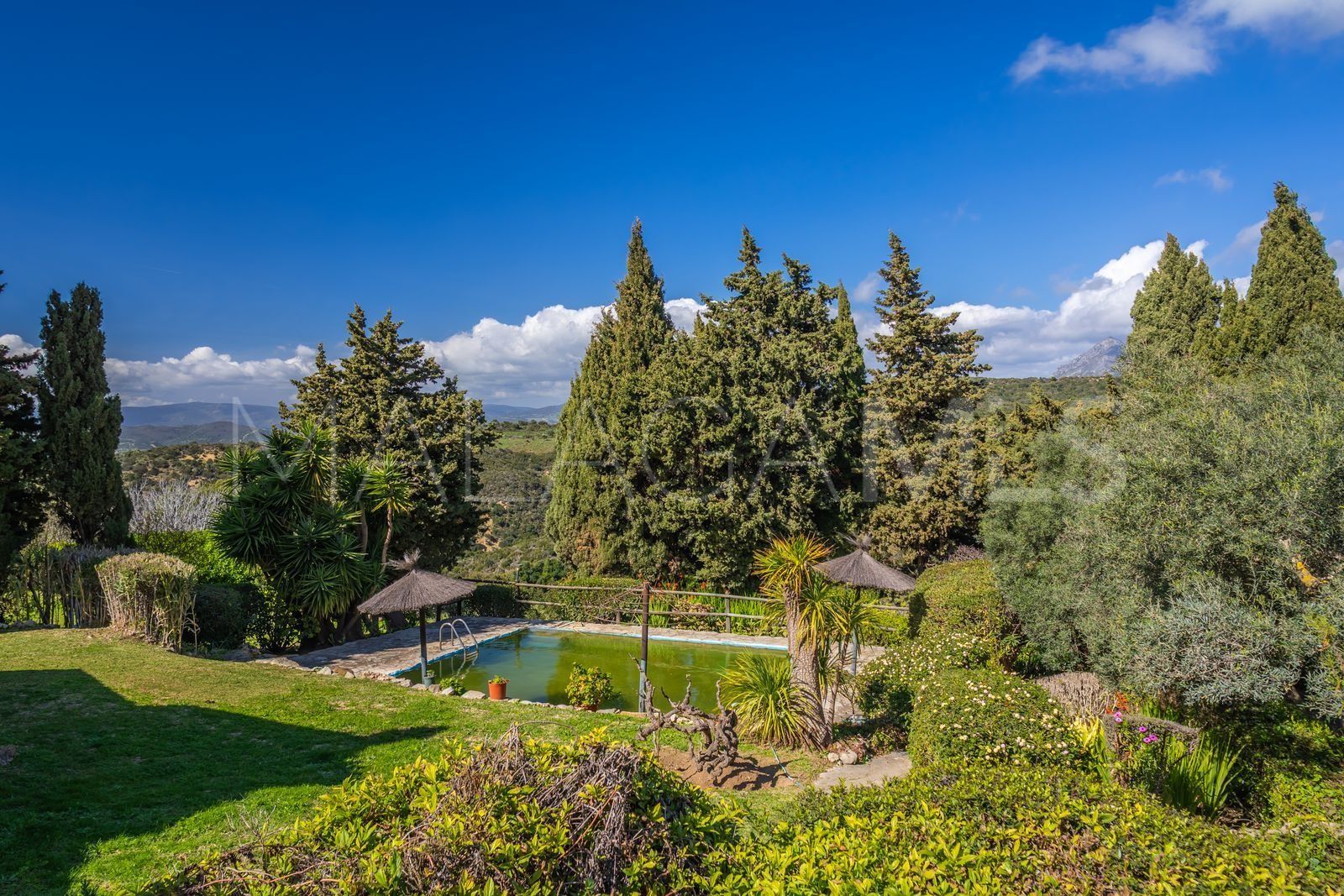 Finca for sale in Casares Pueblo