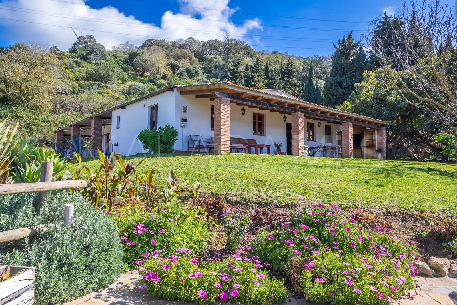 Finca for sale in Casares Pueblo