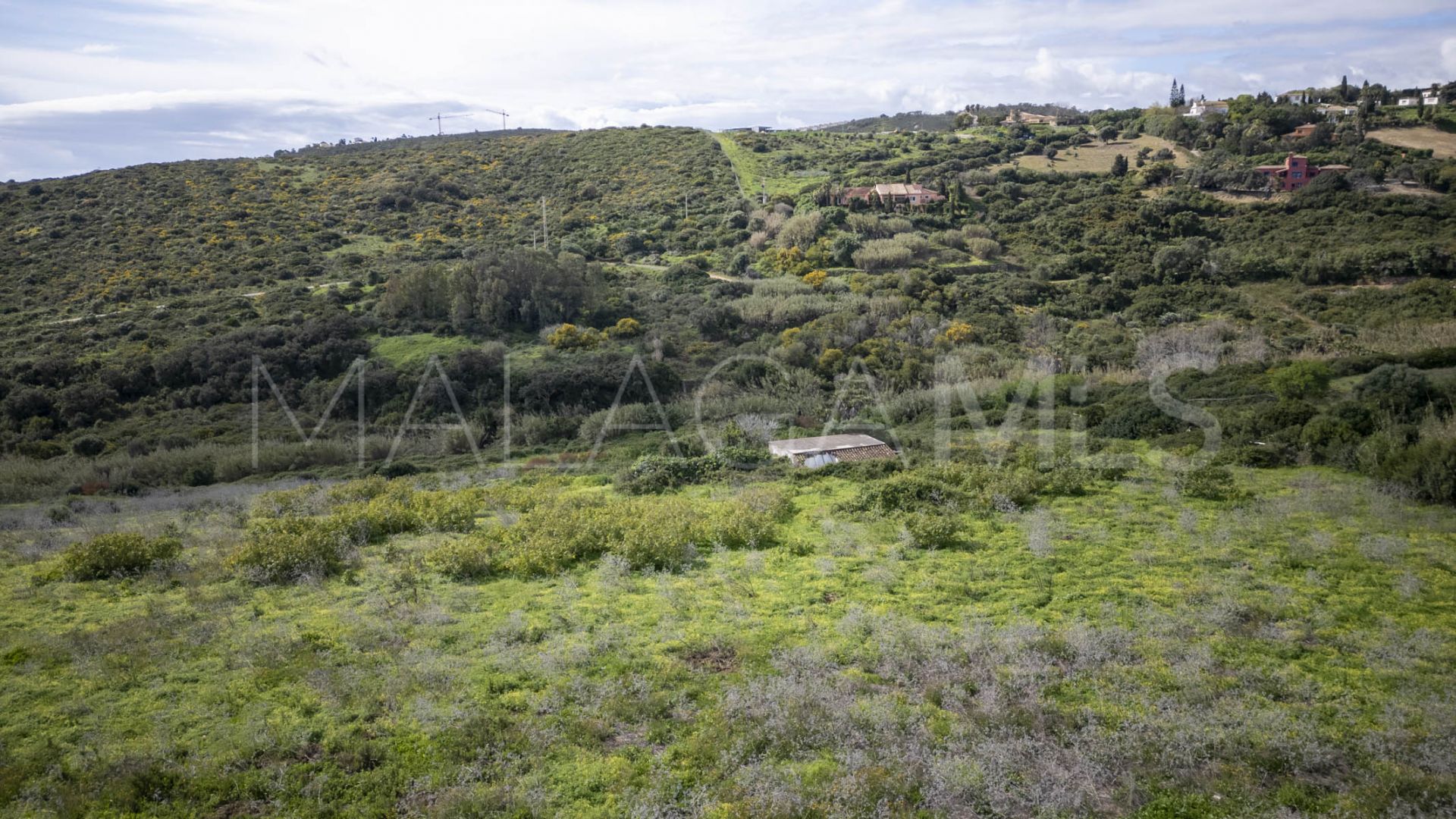 For sale plot in La Duquesa