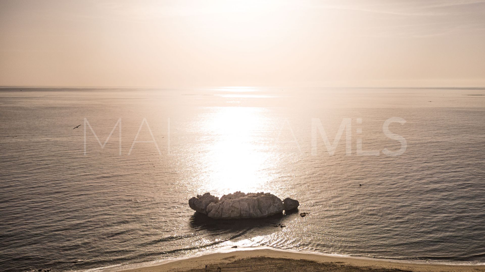 For sale 2 bedrooms ground floor apartment in Casares Playa