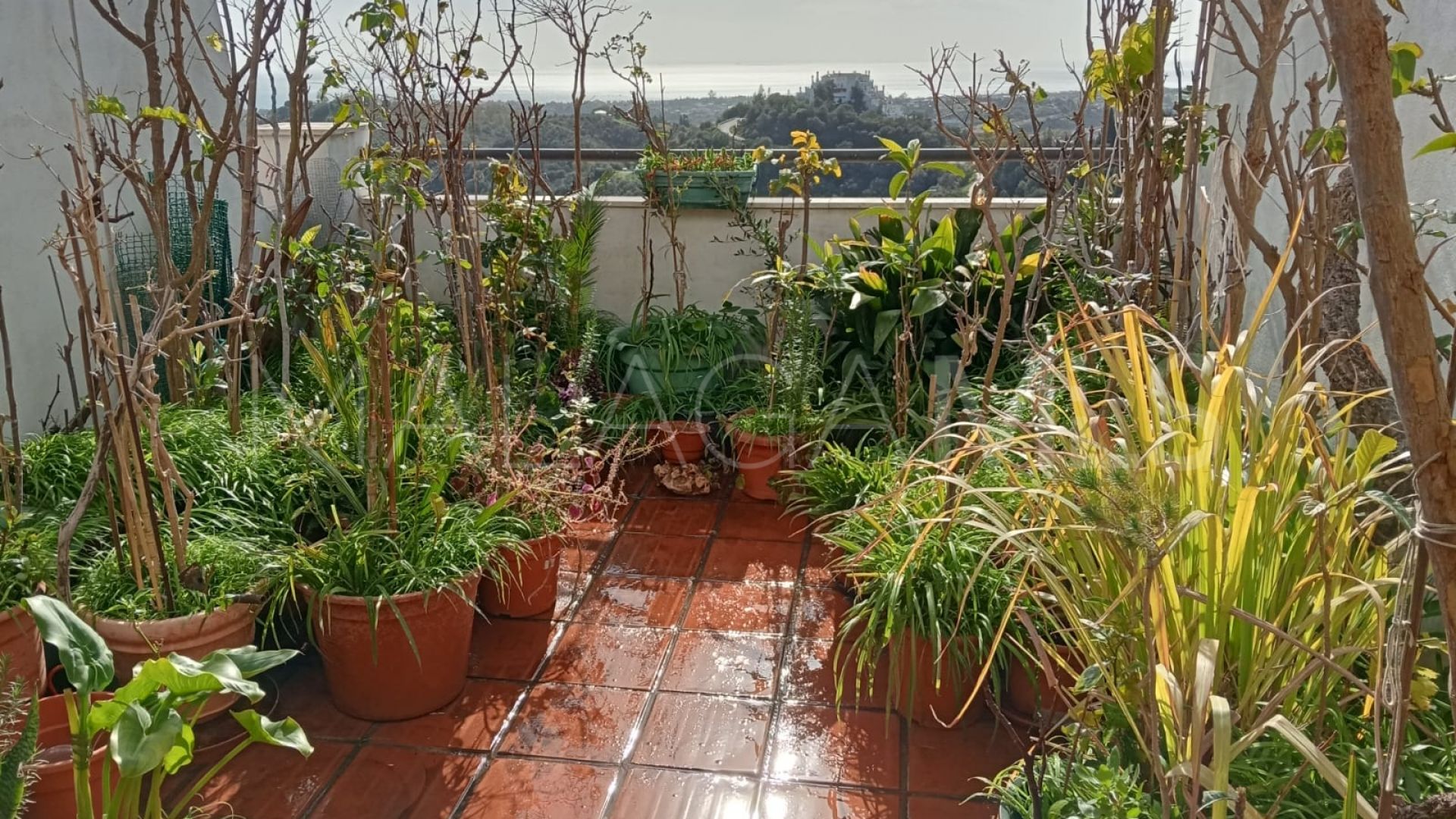 Duplex in Estepona for sale