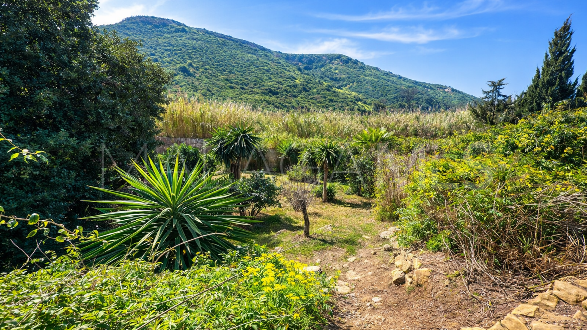 Villa in La Duquesa for sale