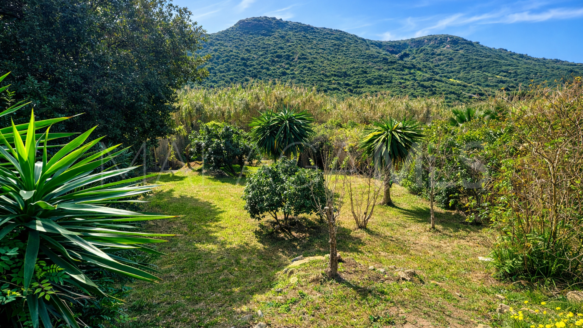 Villa in La Duquesa for sale