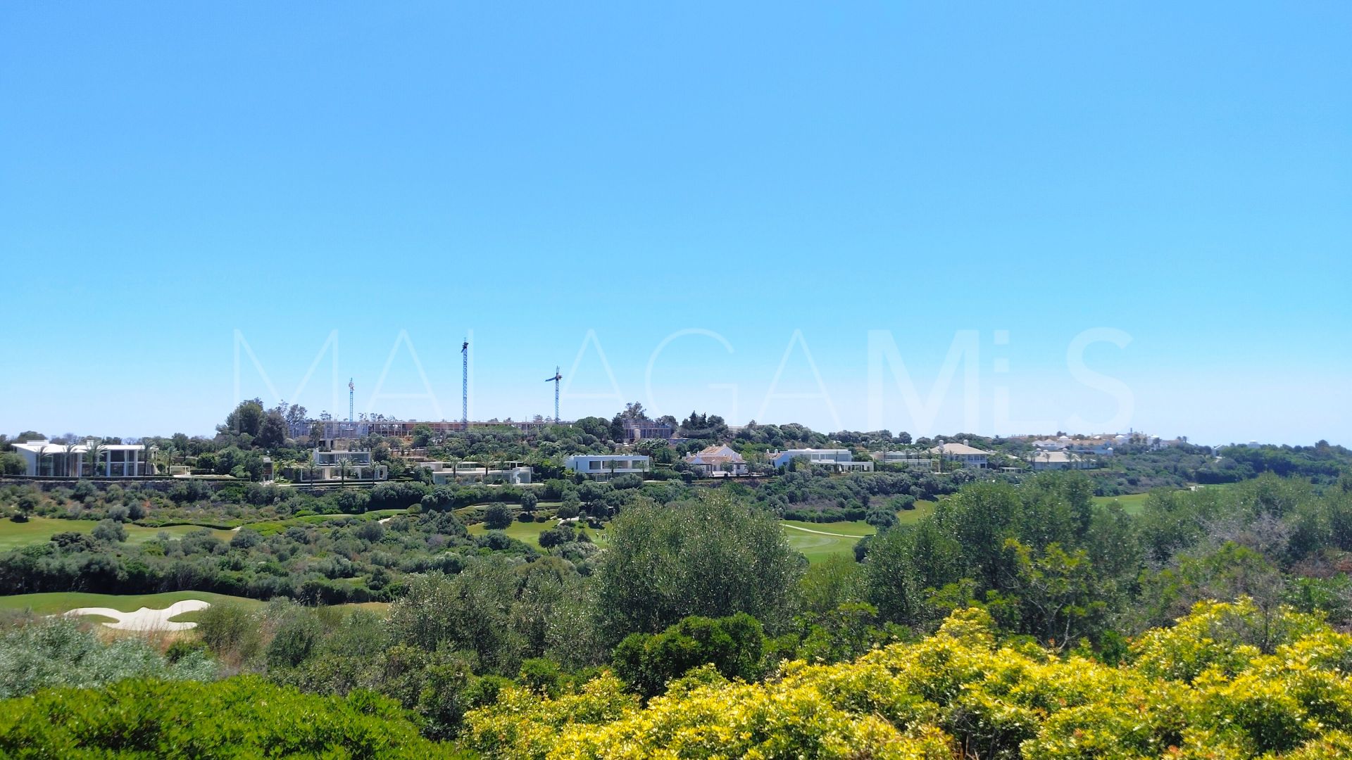 Buy pareado in Augusta Sea and Golf