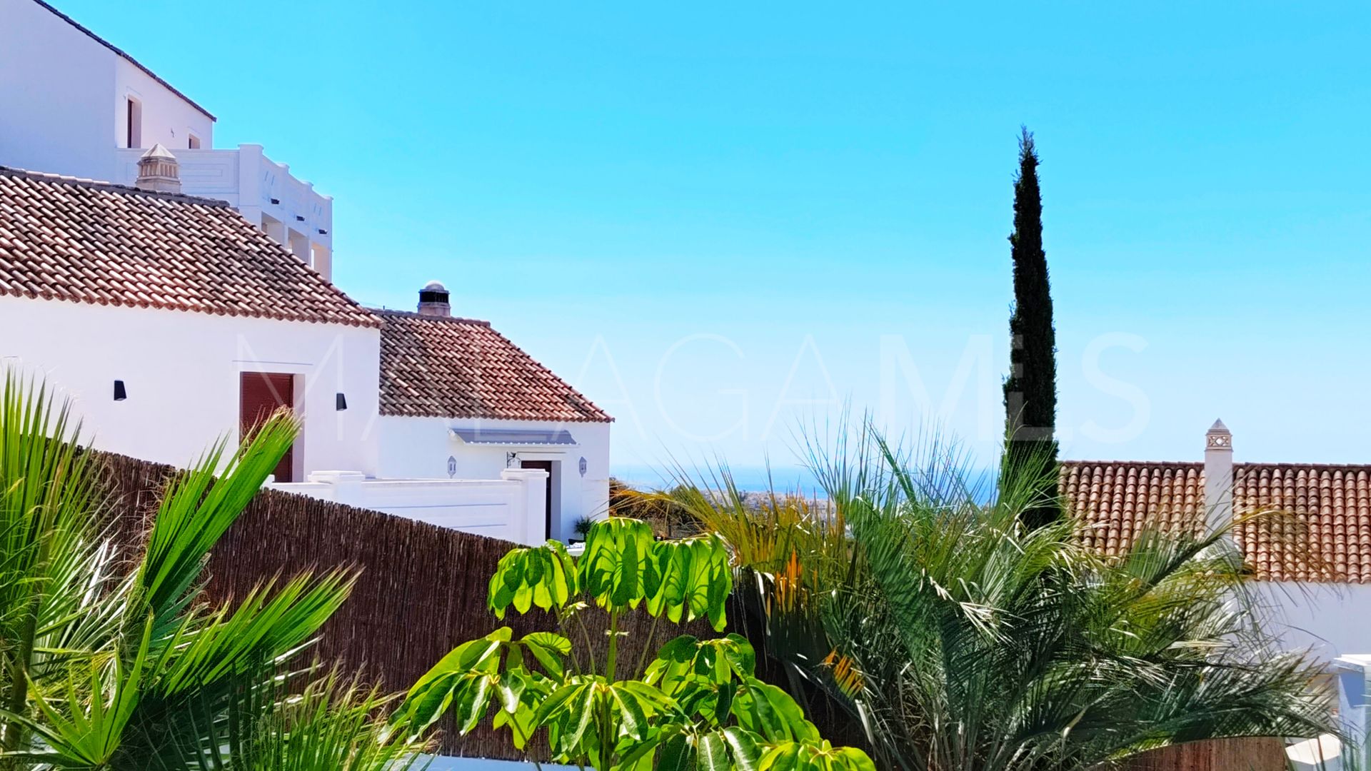 Buy pareado in Augusta Sea and Golf