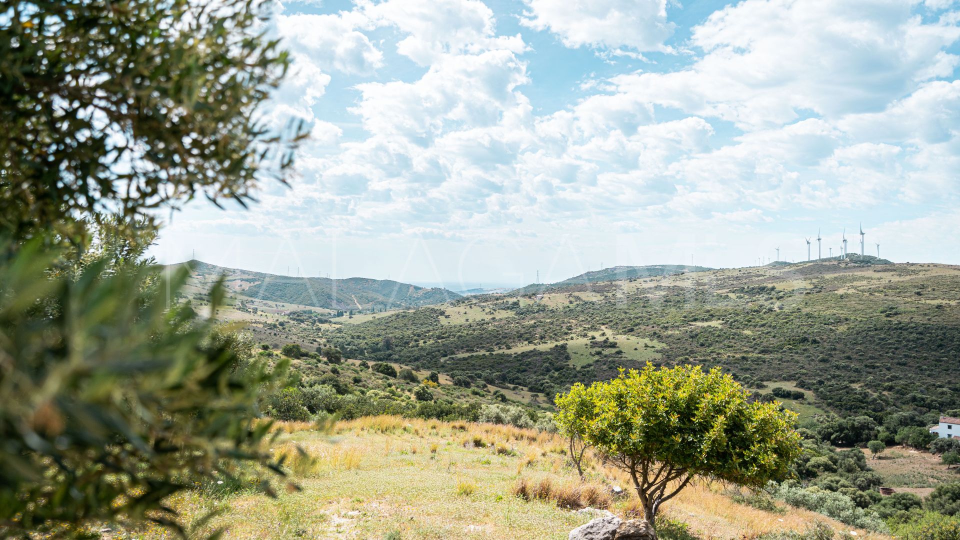 Finca for sale in Casares