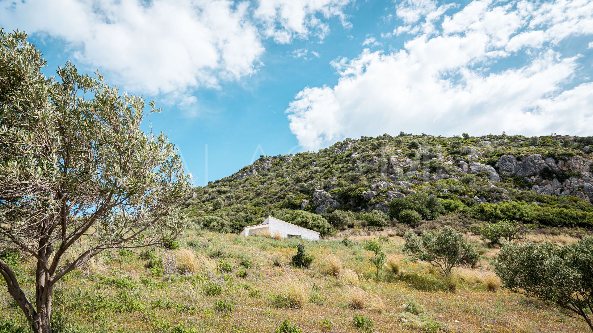 Finca for sale in Casares