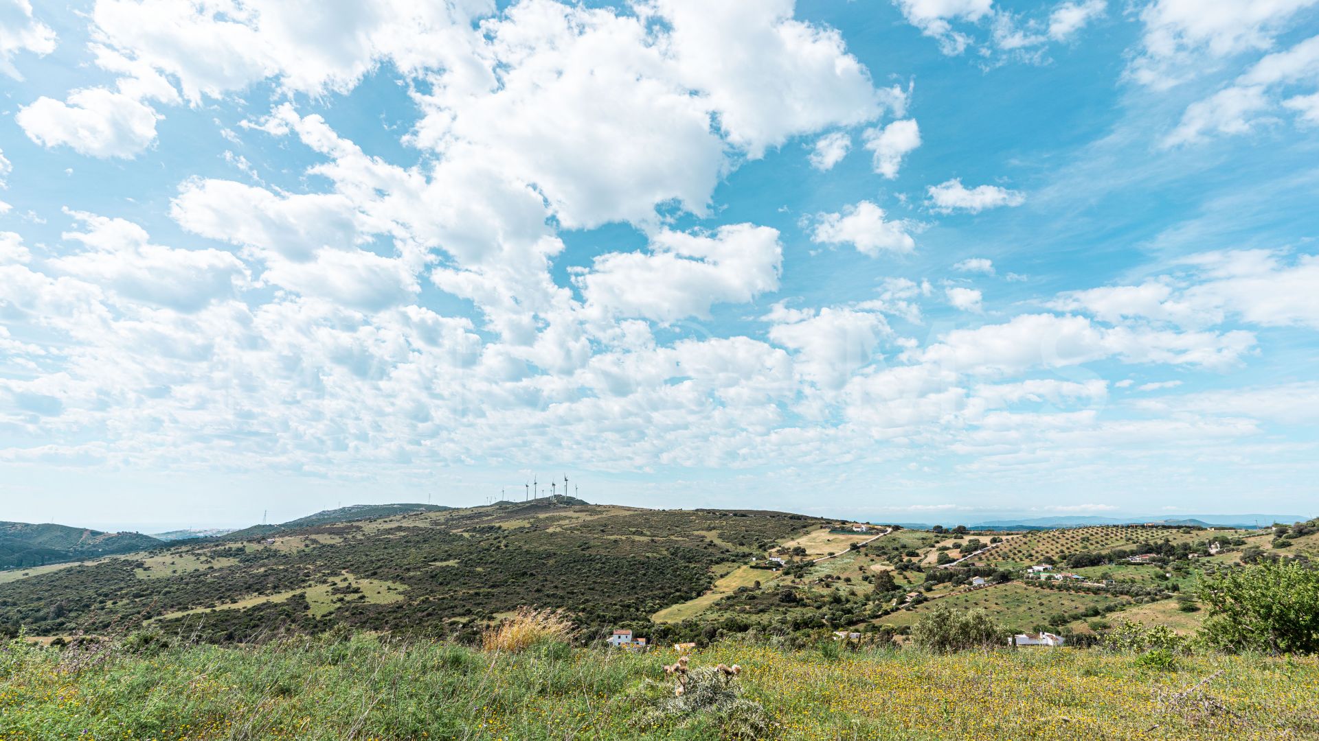 Finca for sale in Casares