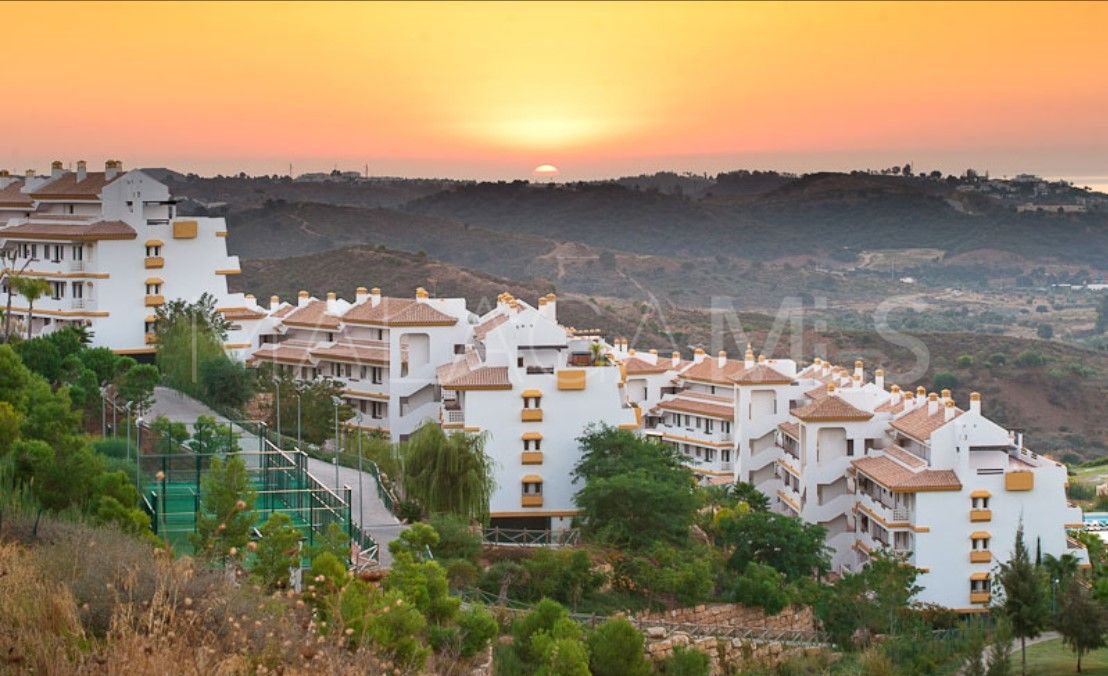 Apartamento planta baja de 2 bedrooms for sale in Calanova Golf