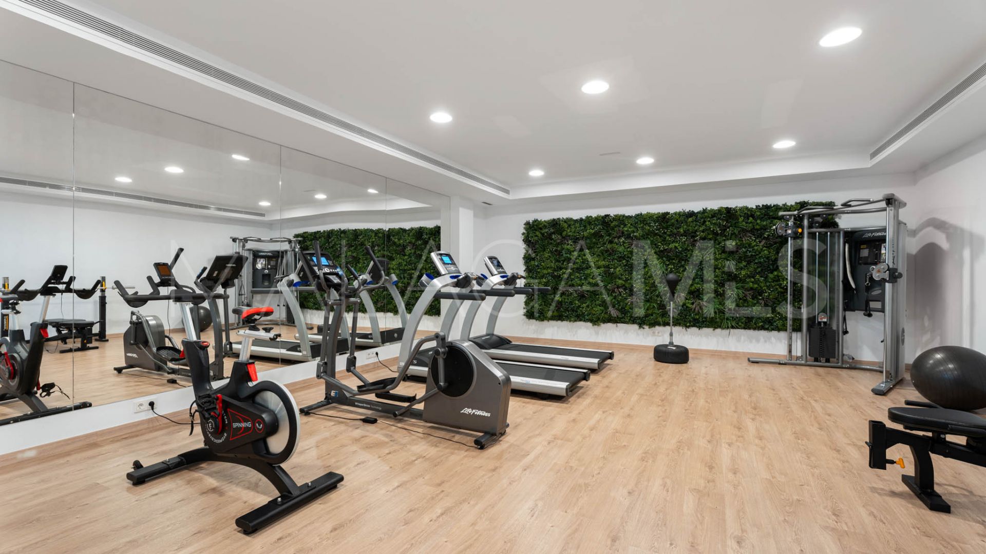 Duplex penthouse for sale in Artola