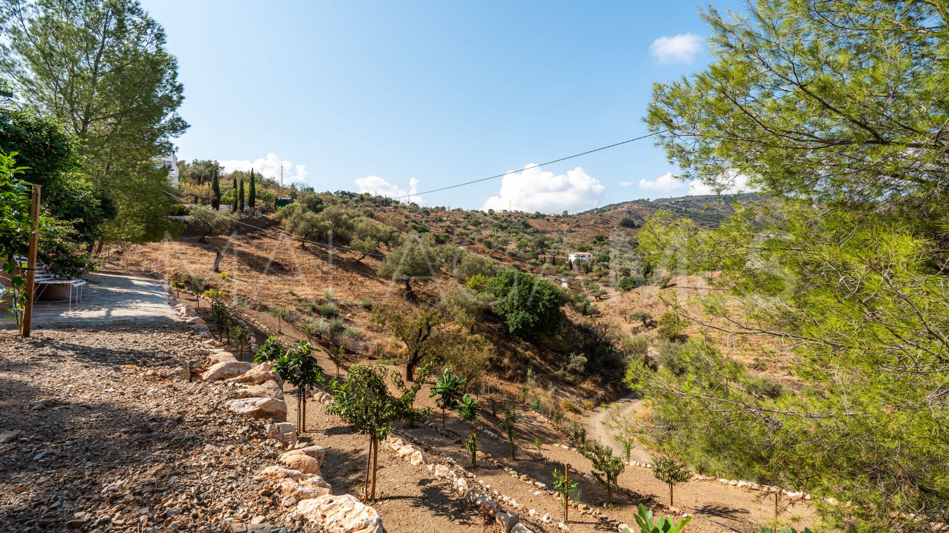 Buy 5 bedrooms finca in Comares