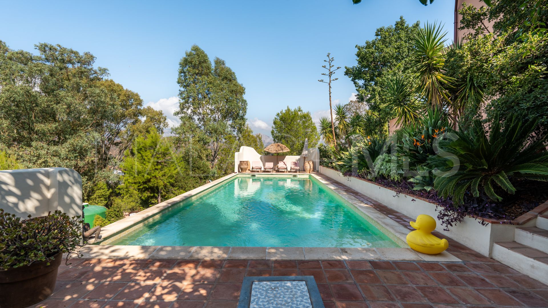 Buy 5 bedrooms finca in Comares