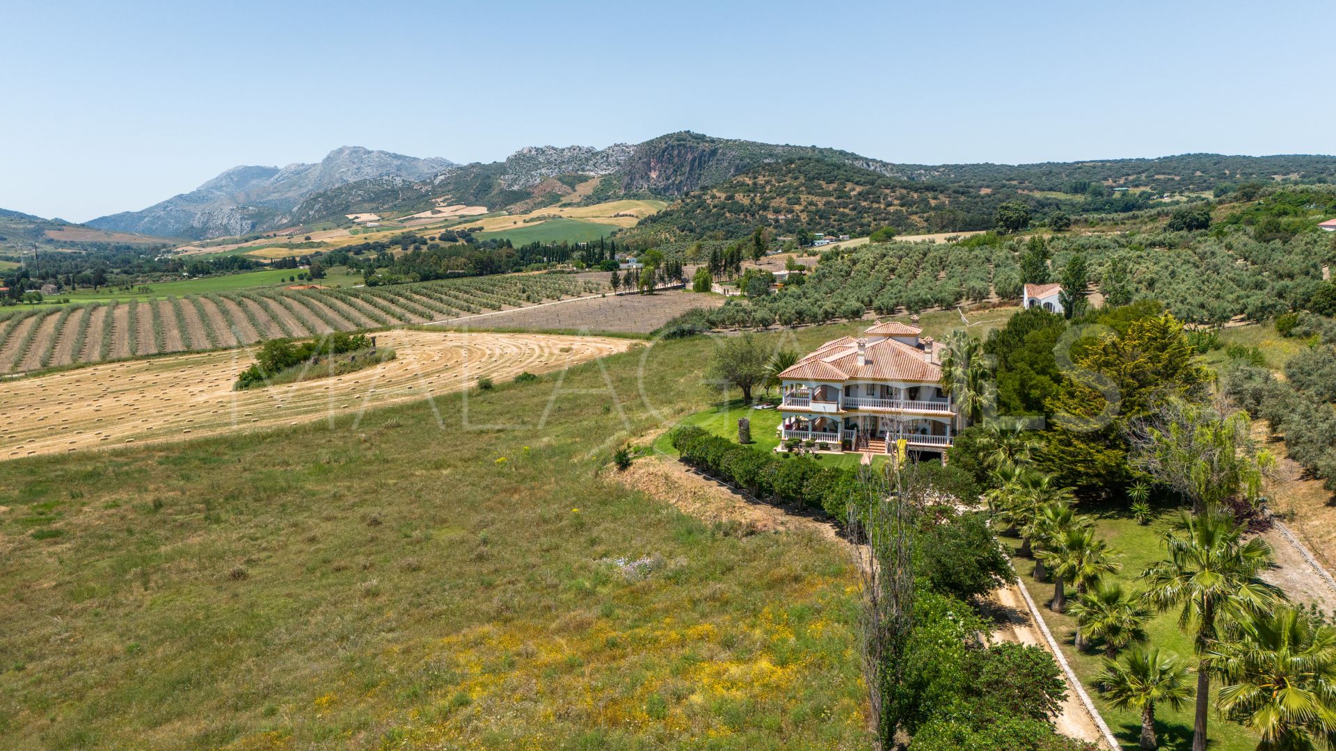 Finca with 5 bedrooms for sale in Ronda