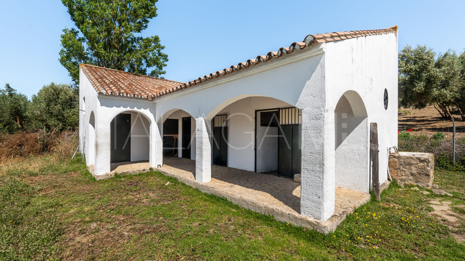 Finca with 5 bedrooms for sale in Ronda