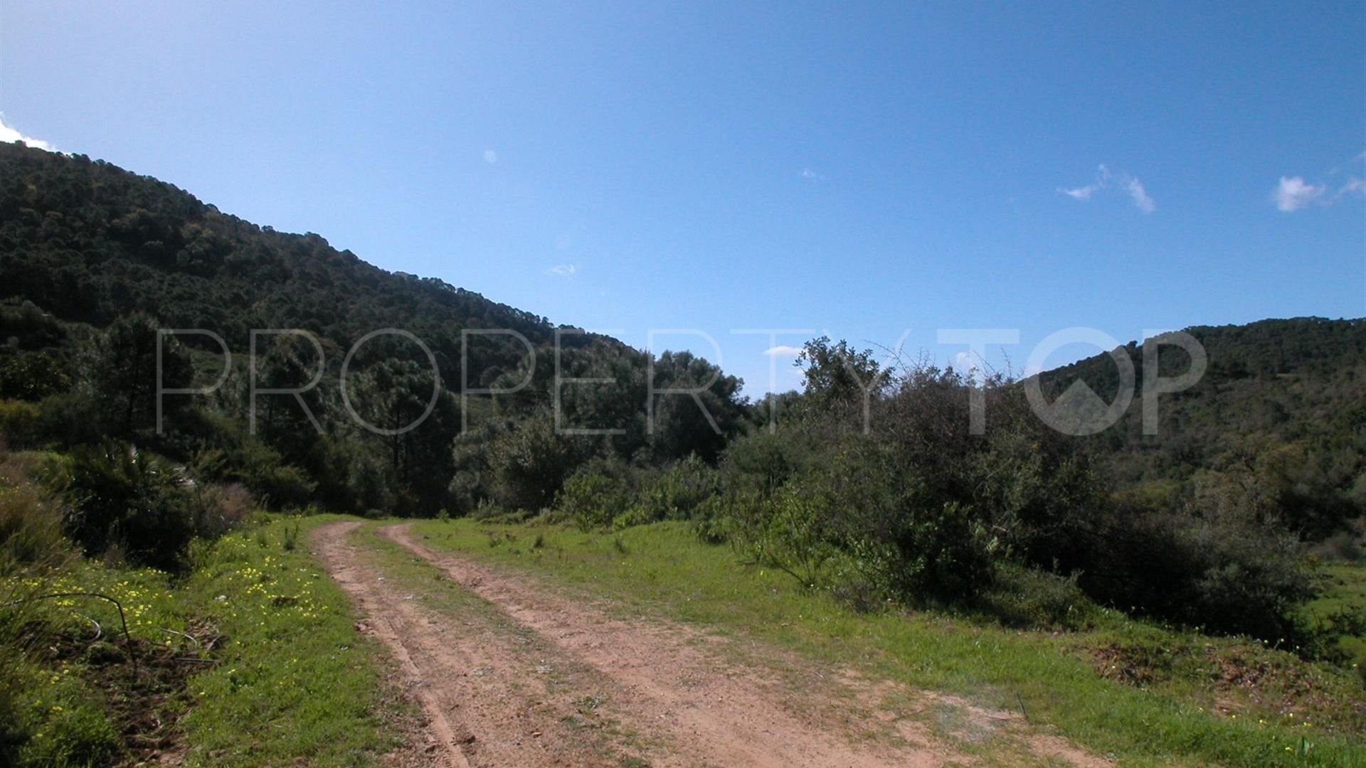 Finca with 4 bedrooms for sale in Selwo