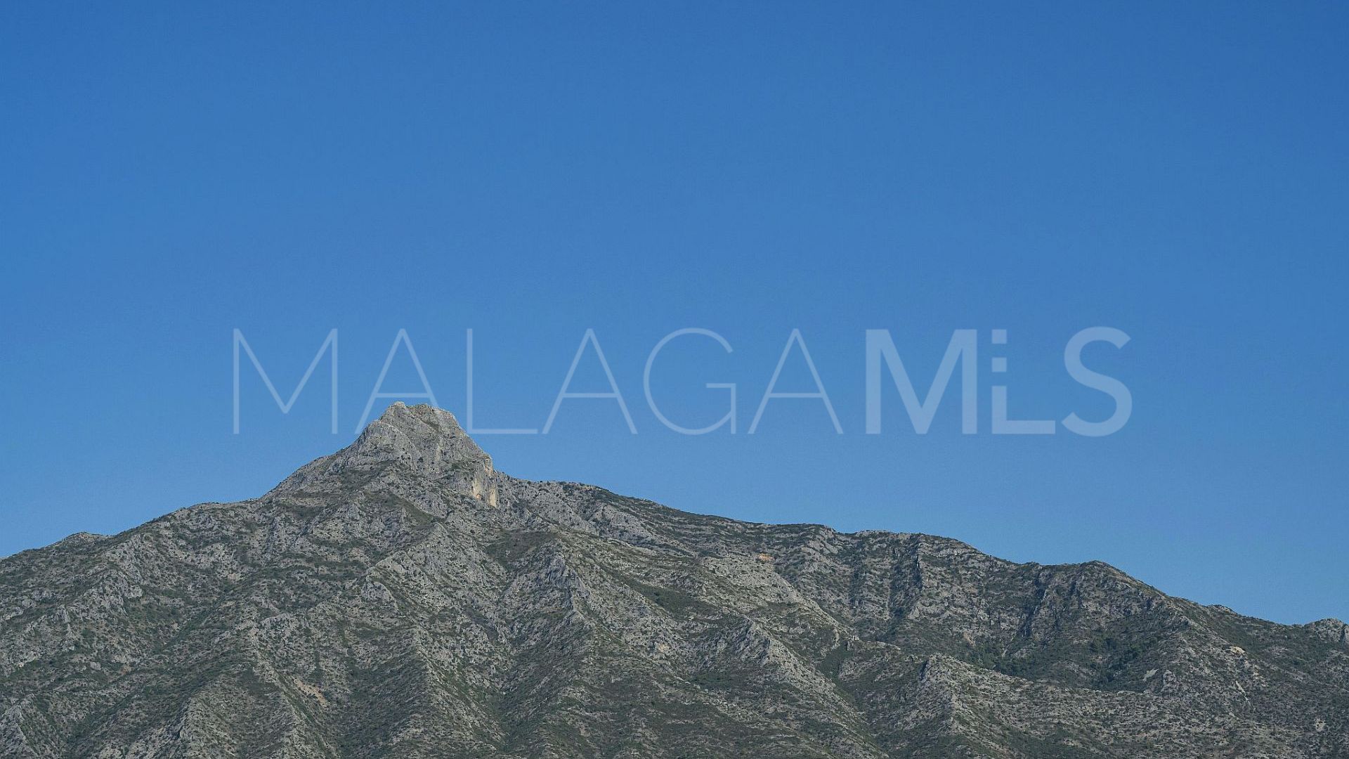 Wohnung for sale in Nueva Andalucia