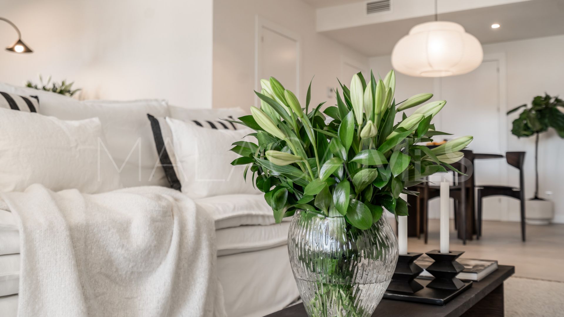 Las Jacarandas 2 bedrooms apartment for sale