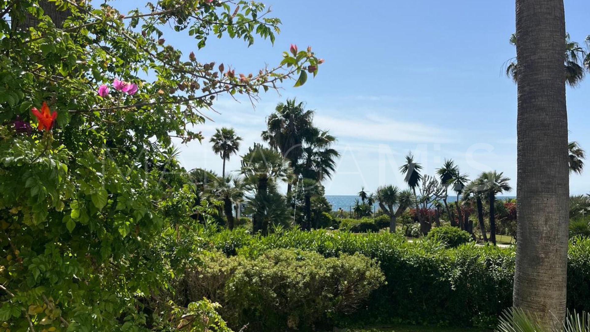 Se vende apartamento planta baja in Costalita de 3 bedrooms