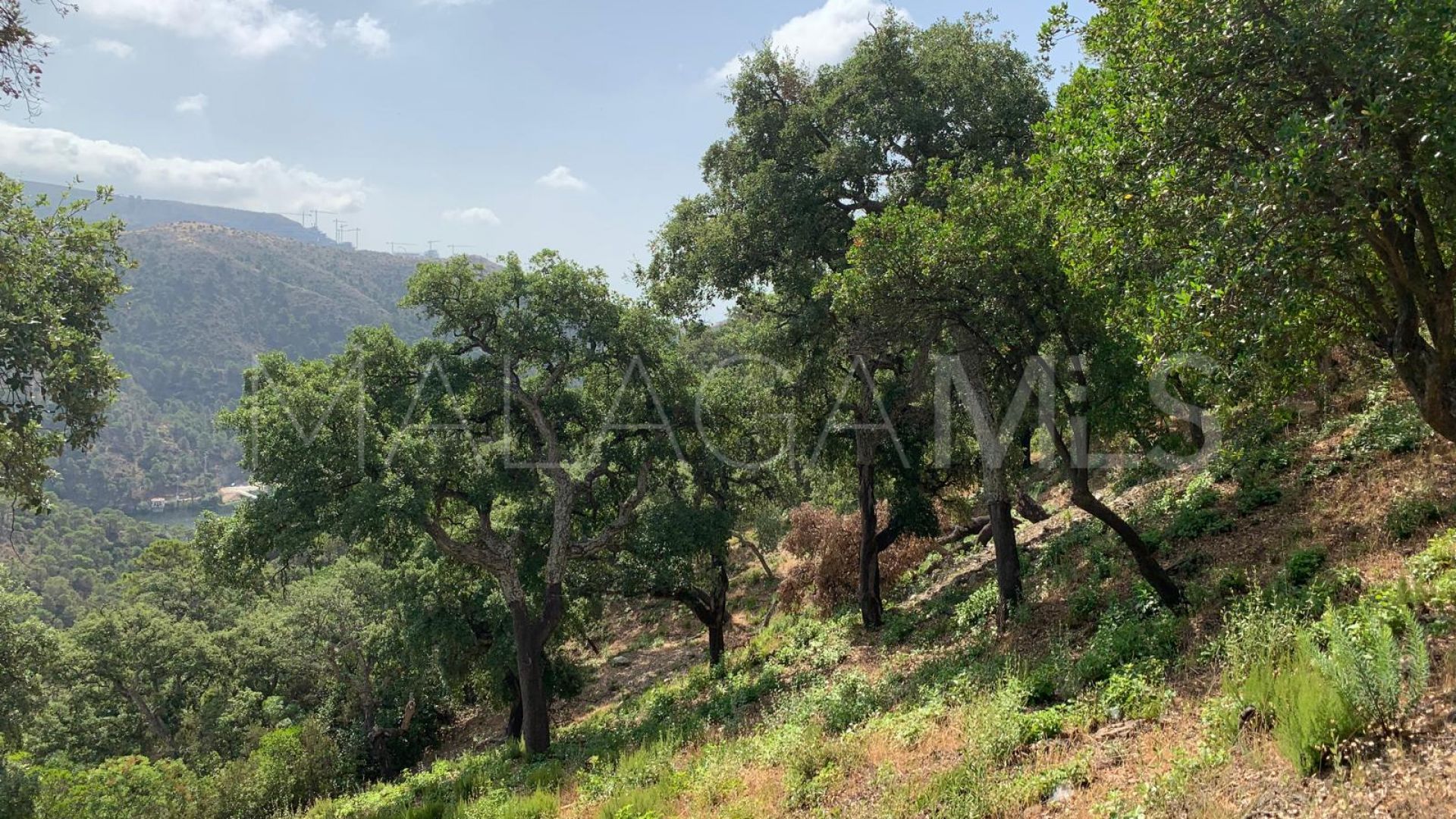 Terrain for sale in El Madroñal