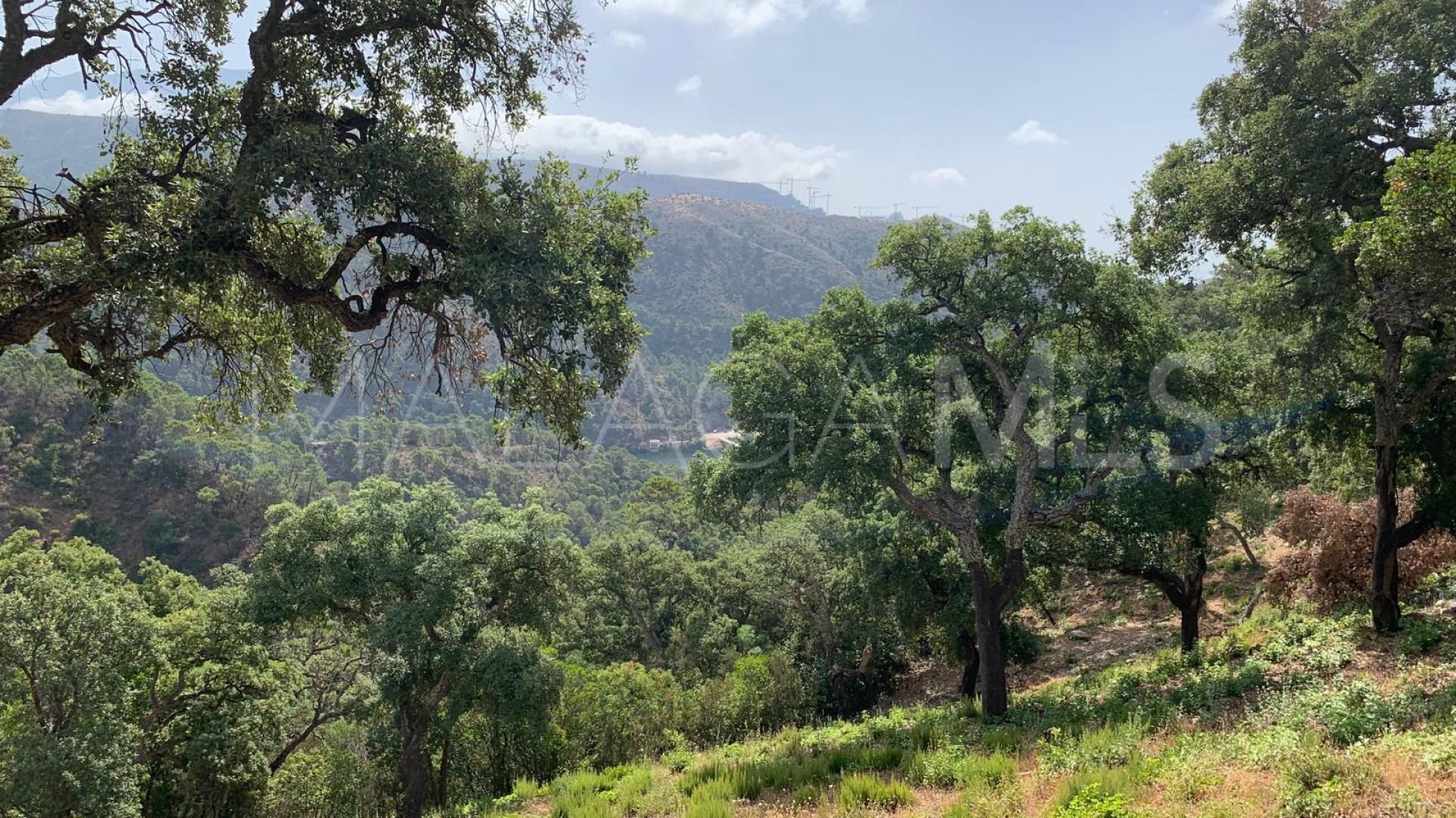 Terrain for sale in El Madroñal