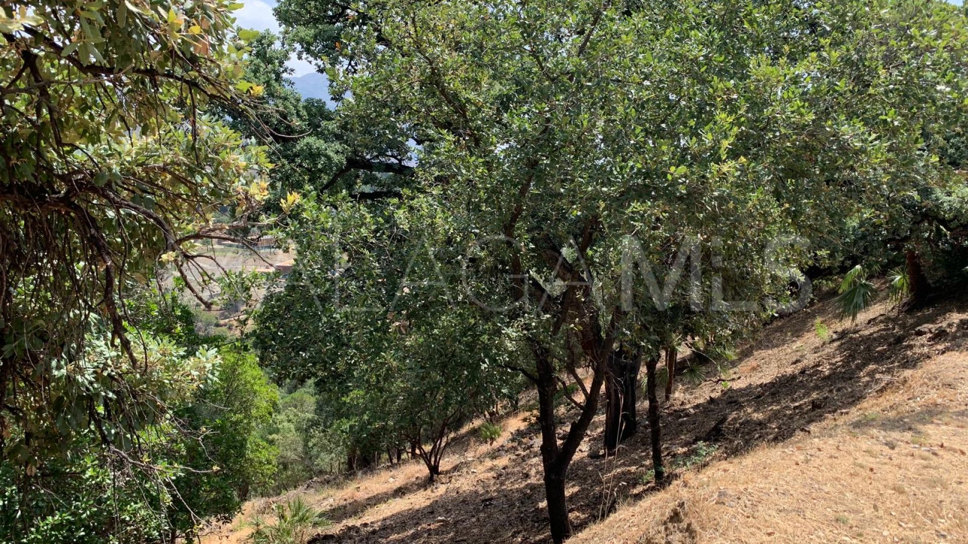 Terrain for sale in El Madroñal