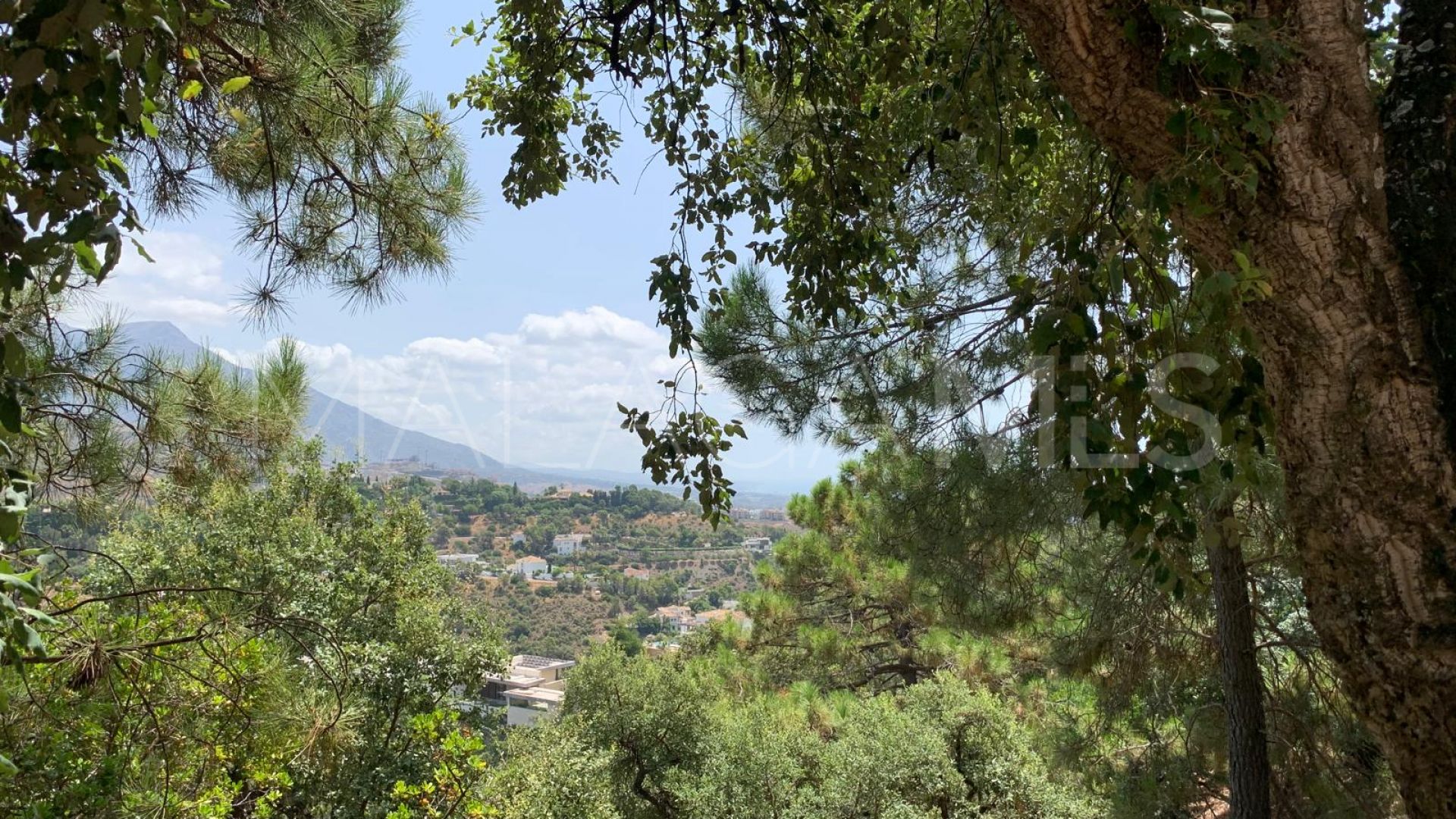 Terrain for sale in El Madroñal