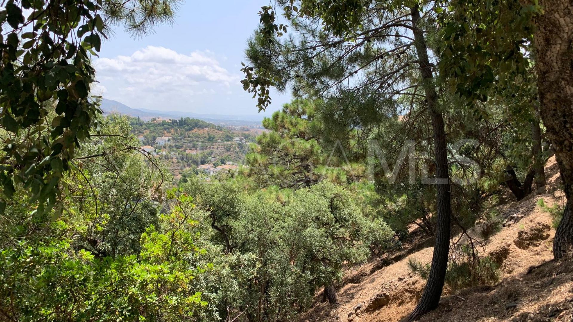 Terrain for sale in El Madroñal