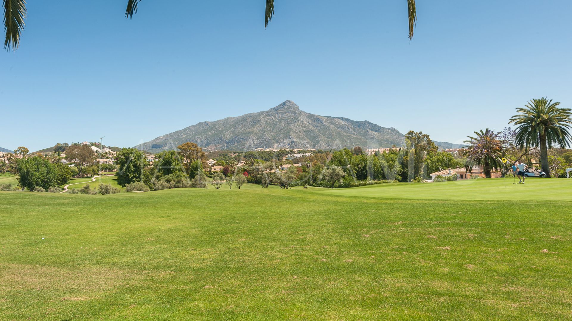 Tomt for sale in Benahavis