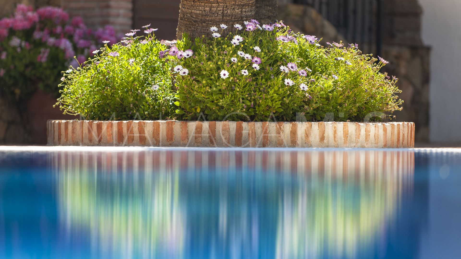 Tomt for sale in El Madroñal