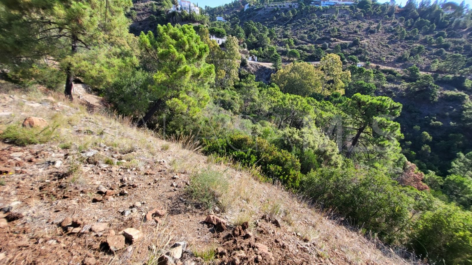 Tomt for sale in El Madroñal