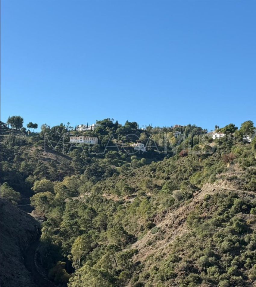 Plot for sale in El Madroñal