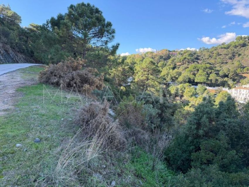 Plot for sale in El Madroñal