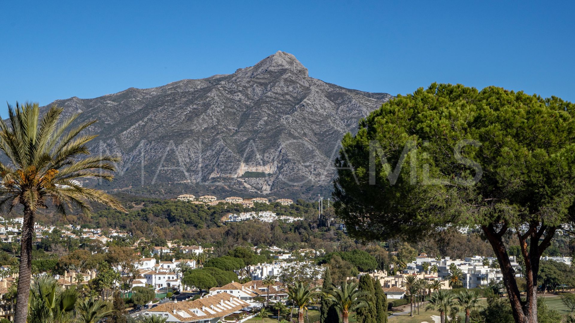 Villa for sale in Nueva Andalucia