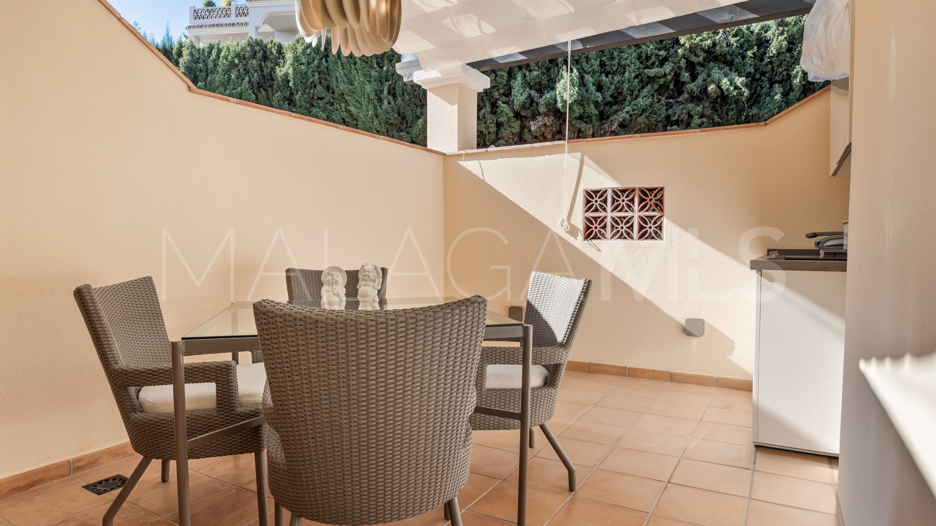 Buy duplex penthouse in Los Almendros