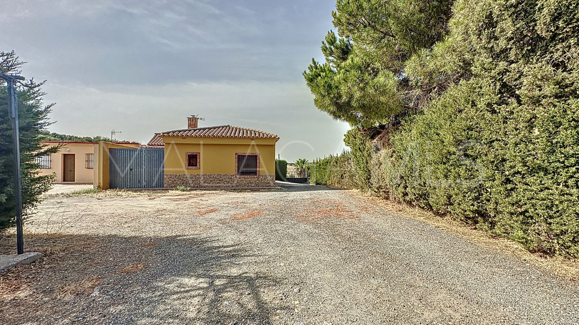 Finca for sale in Estepona