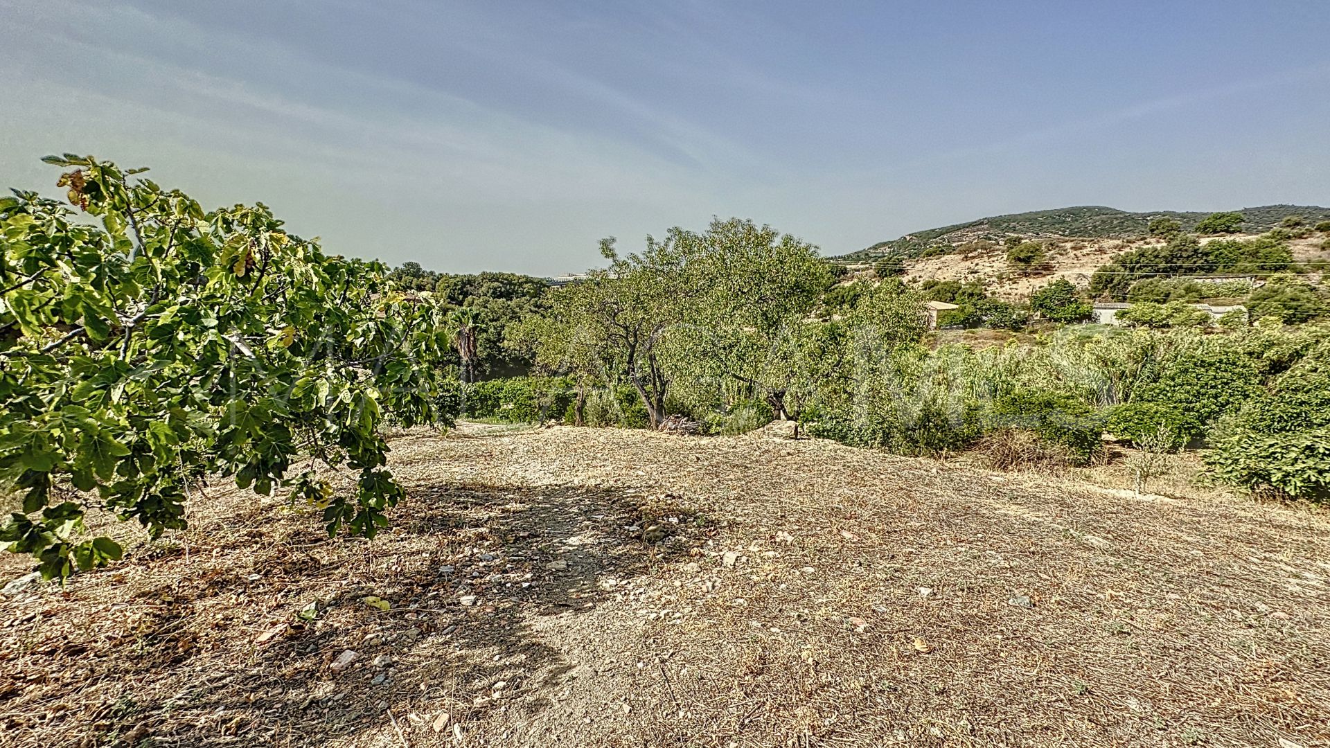 Finca for sale in Estepona