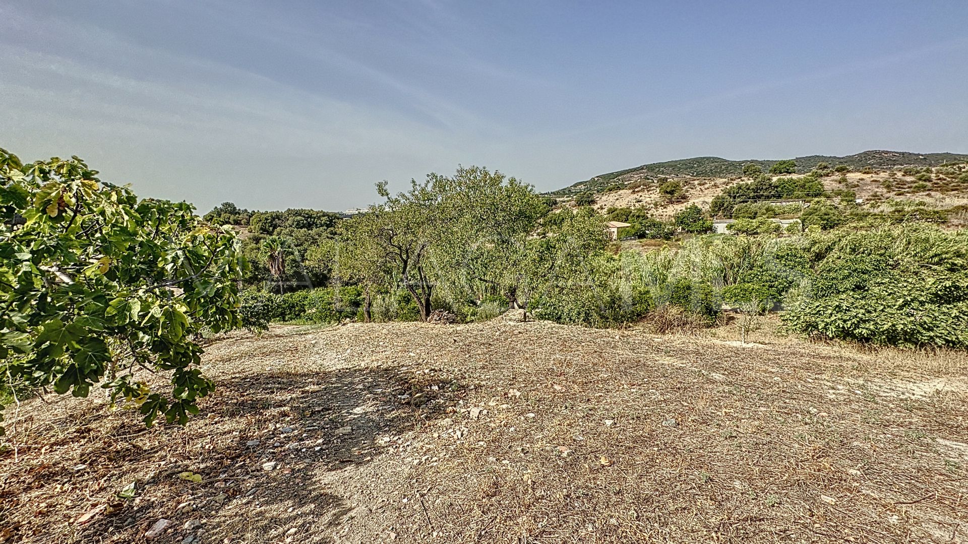 Finca for sale in Estepona