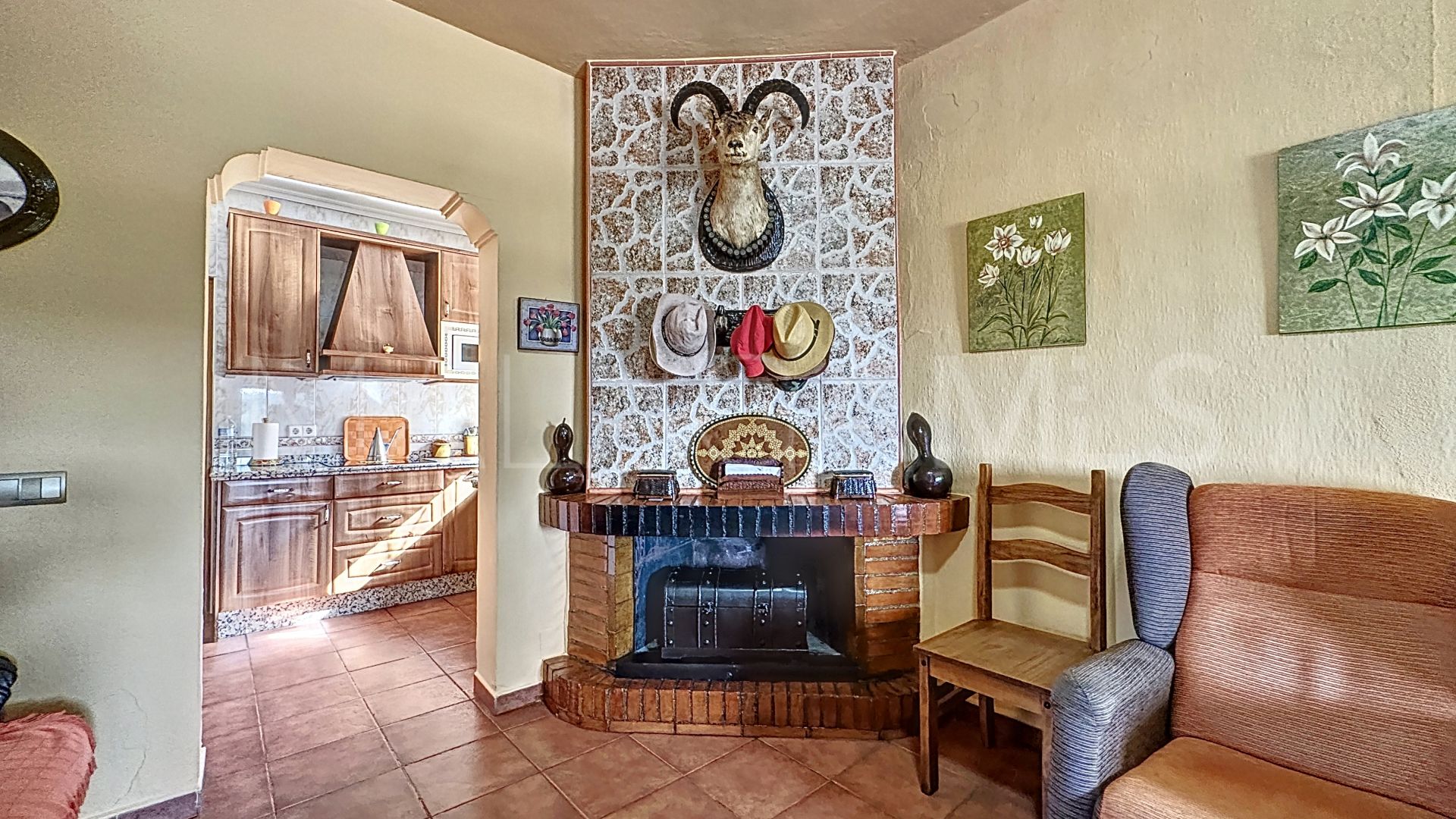 Finca for sale in Estepona