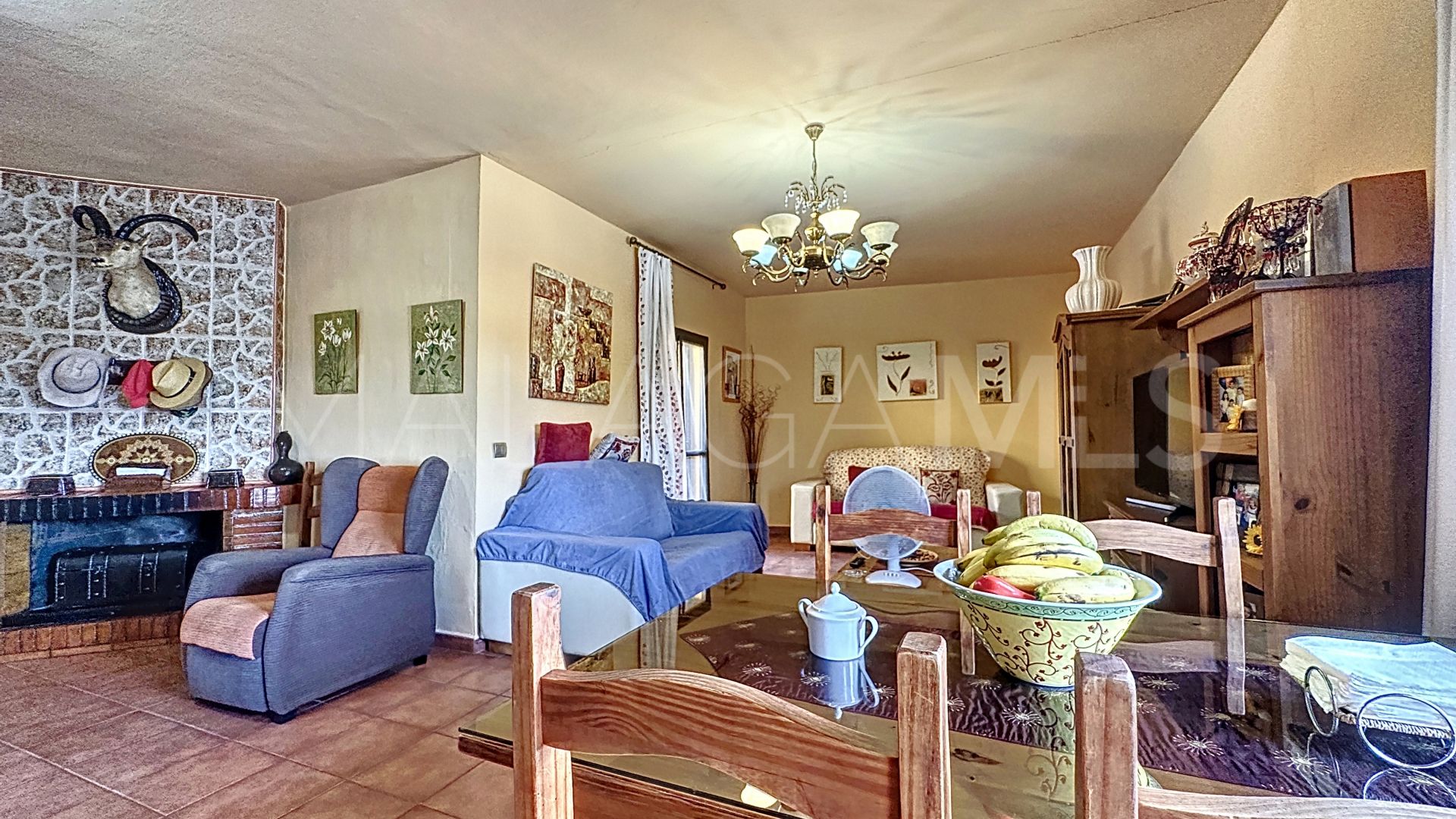 Finca for sale in Estepona